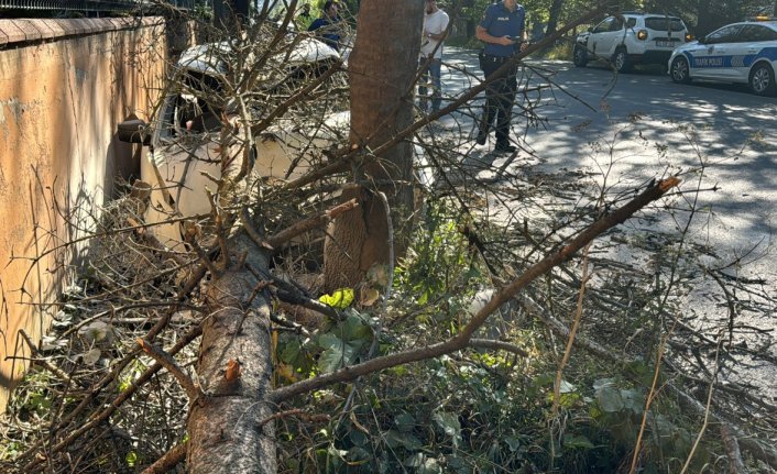 Bolu'da ağaca çarpan otomobilin sürücüsü yaralandı