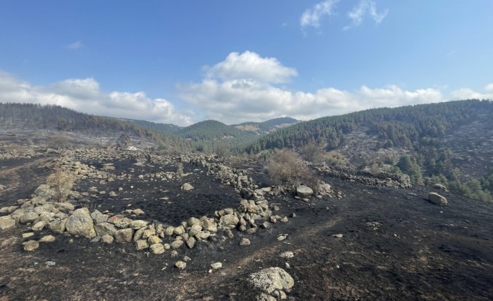 Bolu'da kontrol altına alınan yangında soğutma çalışması sürüyor