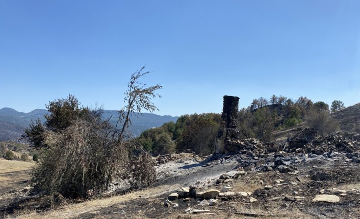 Bolu'daki orman yangınında köylülerin önlemi asırlık ağacı yanmaktan kurtardı