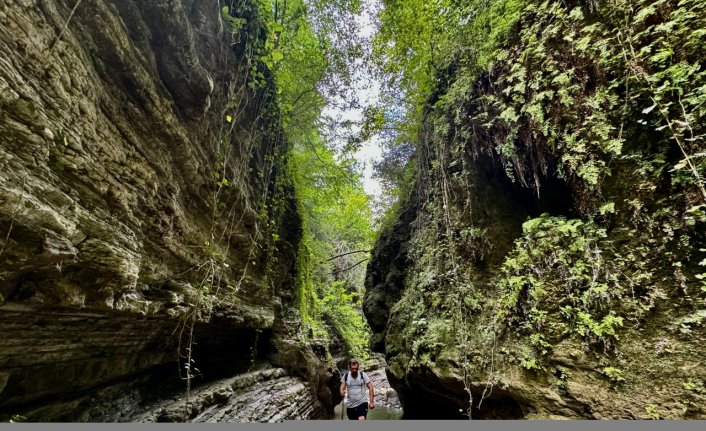 Cevizdibi Kanyonu doğal güzellikleriyle Karadeniz'de turizm rotalarından biri olmaya aday