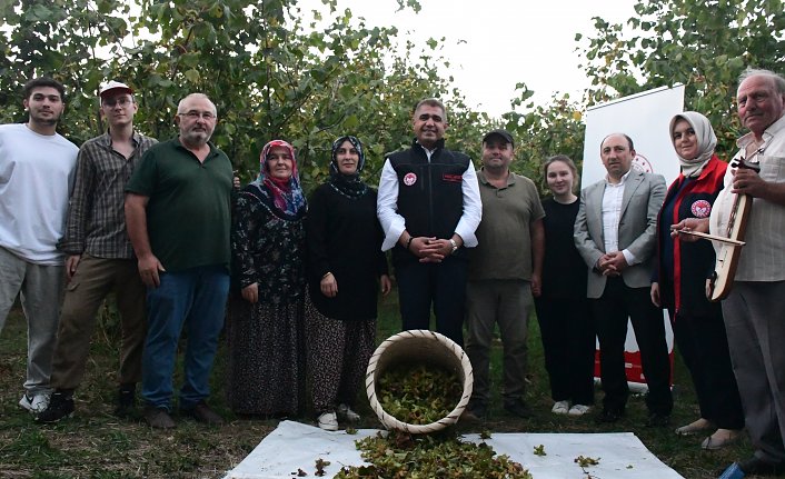 Düzce'de fındık hasat şenliği düzenlendi