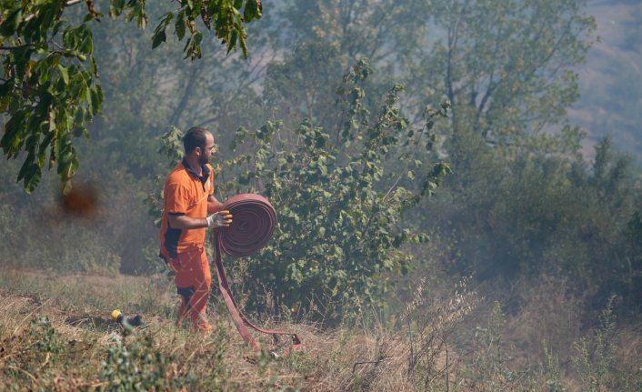 Düzce'de ormanlık alanda çıkan yangın kontrol altına alındı