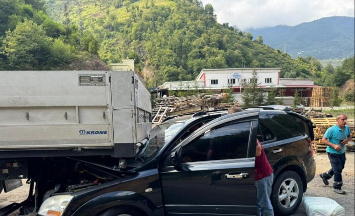 Giresun'da park halindeki tıra çarpan otomobildeki 3 kişi yaralandı