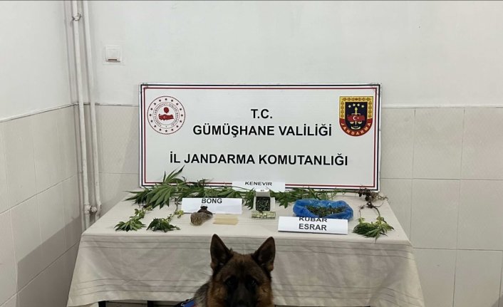 Gümüşhane'de hakkında yakalama kararı olan zanlı yakalandı