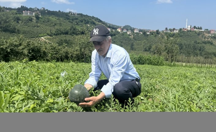 Karadenizli Temel'in talihi şekilli karpuzla değişti