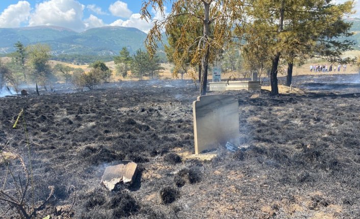 Mudurnu'da çıkan anız yangını söndürüldü