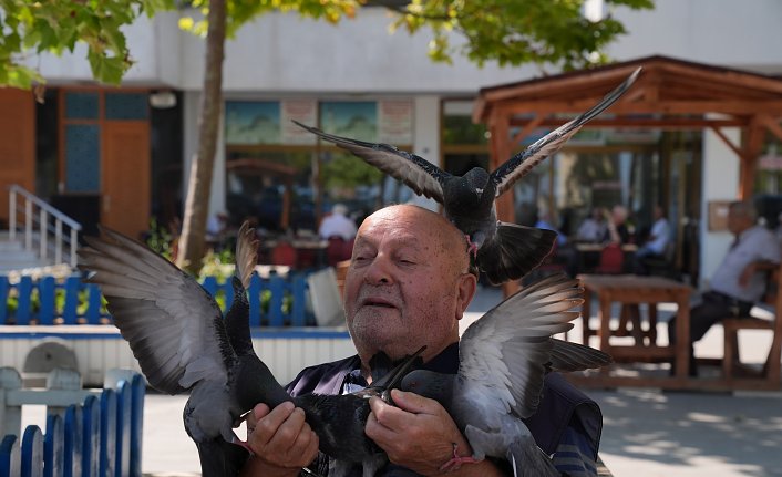 Necmi dedenin köyden şehre güvercin besleme mesaisi