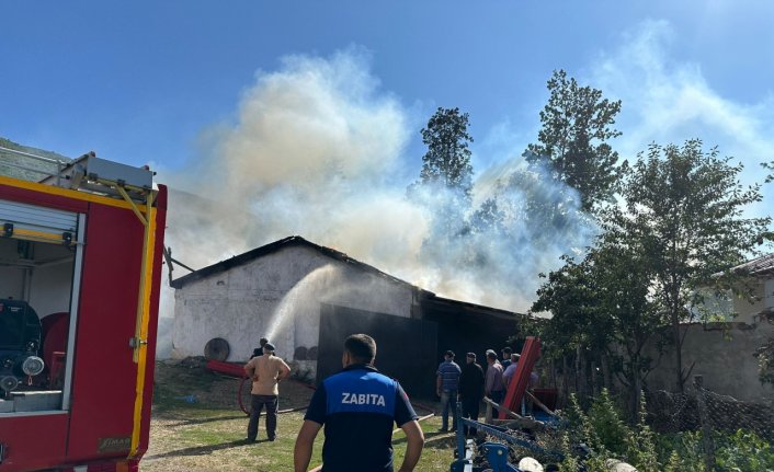 Samsun'da çıkan yangında samanlık ve odunluk zarar gördü