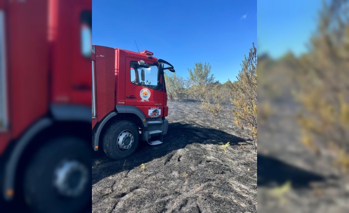 Samsun'da ormanlık alanda çıkan yangın söndürüldü