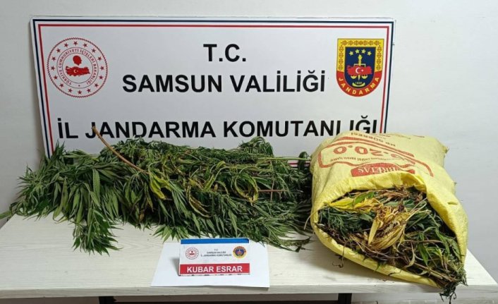 Samsun'da uyuşturucu operasyonunda 12 kilogram esrar ele geçirildi