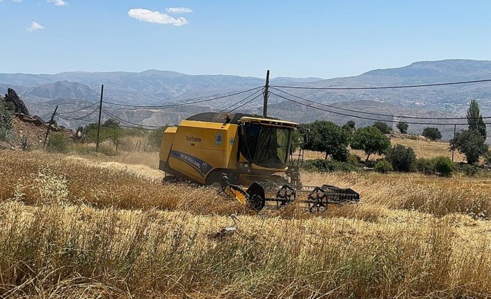 Şebinkarahisar'da çiftçiler devlet desteğiyle alınan biçerdöverden ücretsiz faydalanıyor