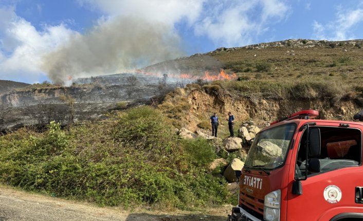 Sinop’ta çıkan örtü yangını söndürüldü