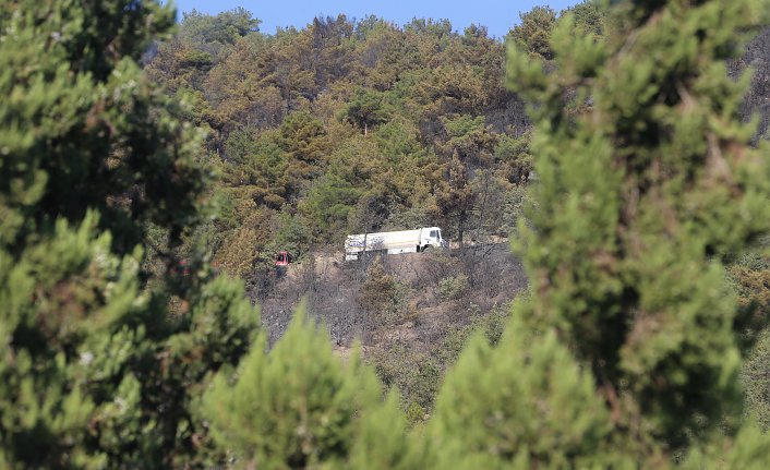 Tokat'ta çıkan orman yangını kontrol altına alındı