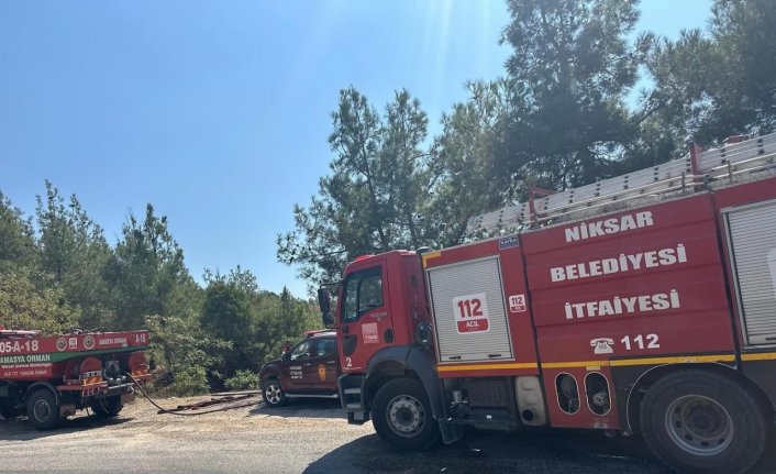 Tokat'ta çıkan orman yangını kısa sürede söndürüldü