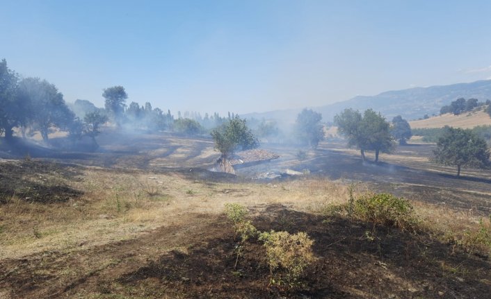 Tokat'ta çıkan örtü yangını söndürüldü