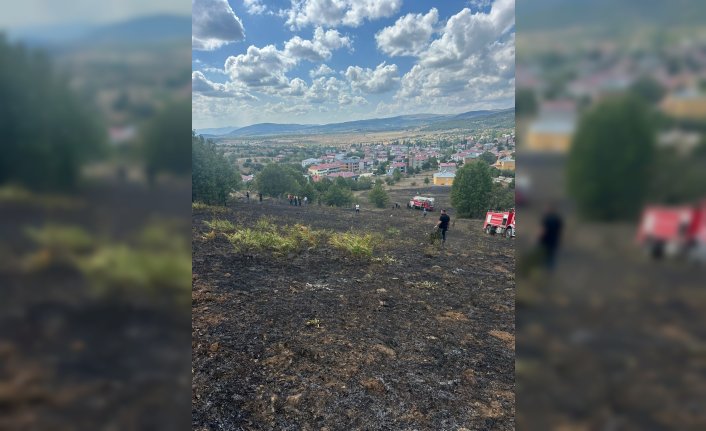 Tokat'ta çıkan ot yangınında 2 dönümlük alan zarar gördü