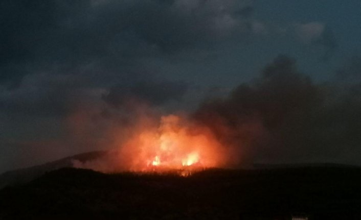 Tokat'ta ormanlık alanda çıkan yangın söndürüldü