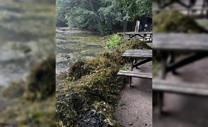 Yedigöller Milli Parkı'ndaki 2 göl temizlendi