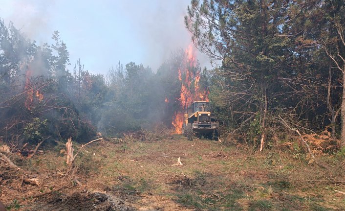 Zonguldak'ta ormanlık alanda çıkan yangın kontrol altına alındı