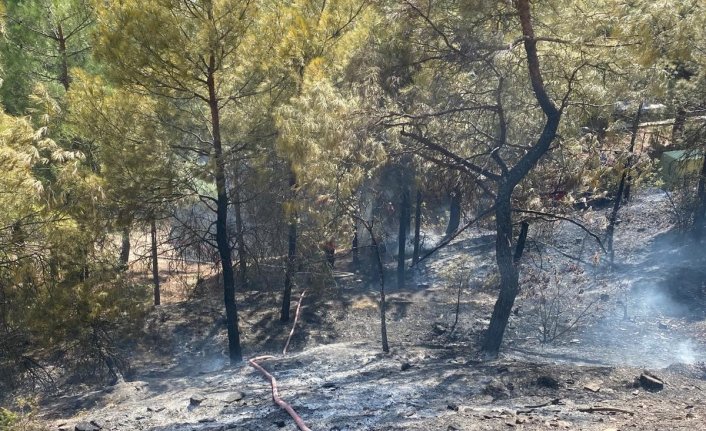 Amasya'da çıkan orman yangını söndürüldü