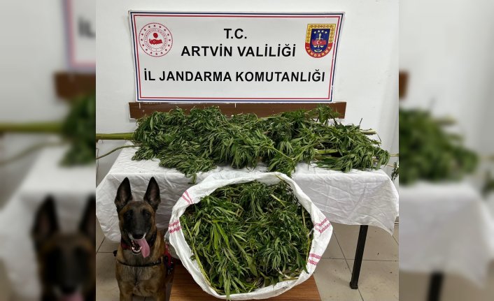 Artvin'de evlerinde uyuşturucu ele geçirilen 2 zanlı tutuklandı