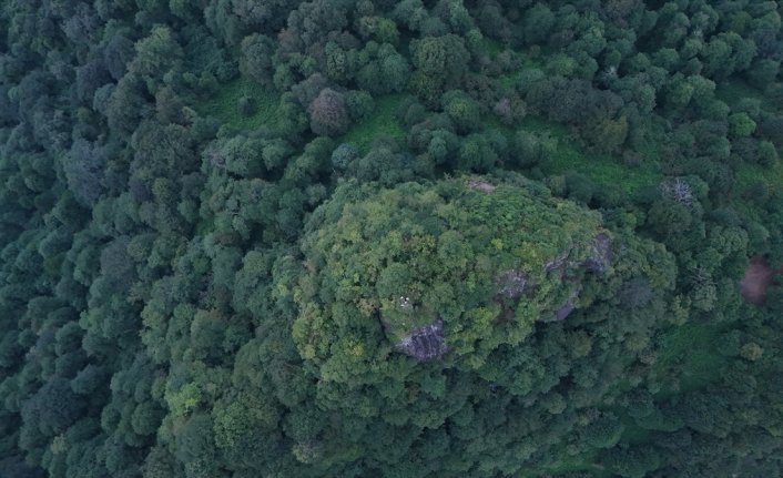 Artvin'de üç arkeolojik kazı alanında jeoradar çalışması yapıldı