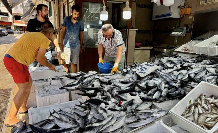 Bol çıkan palamut hem balıkçının hem tüketicinin yüzünü güldürüyor