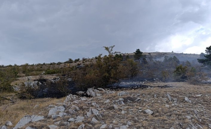 Bolu'da çıkan örtü yangını söndürüldü