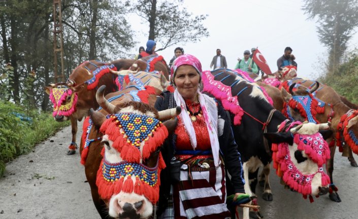 Doğu Karadeniz yaylalarında besicilerin dönüş yolculuğu başladı