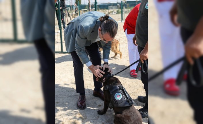 Etimesgut Belediyesince 5 sahipsiz köpek eğitilerek bekçi köpeği yapıldı