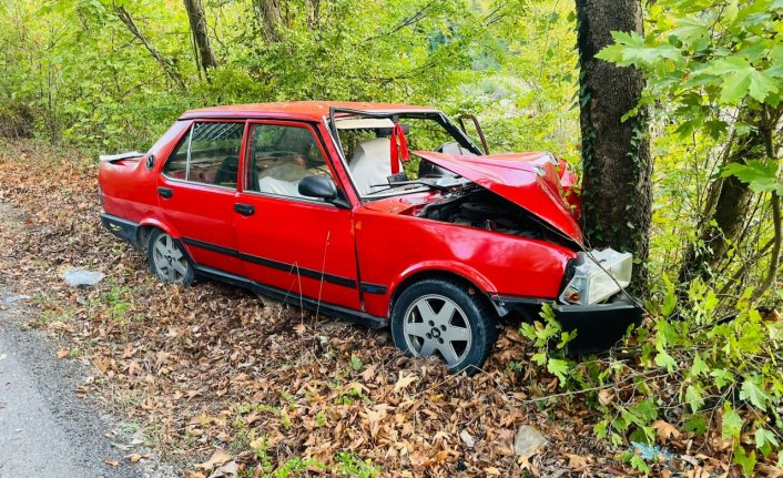 Karabük'te ağaca çarpan otomobildeki 2 kişi yaralandı