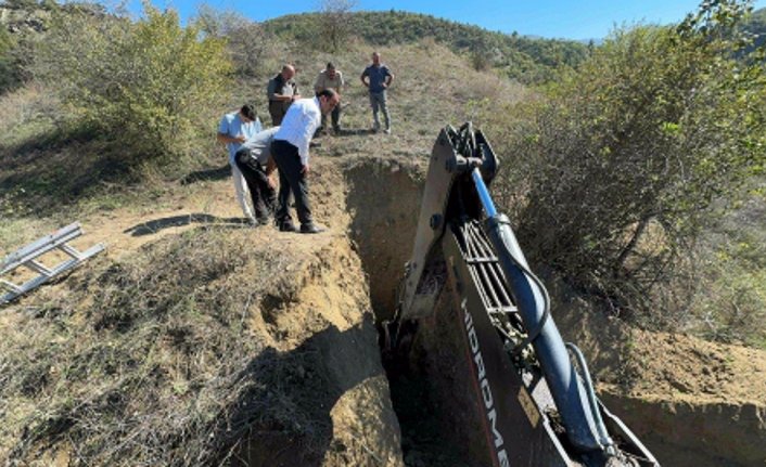 Kastamonu'da çukura düşen ayı kurtarıldı