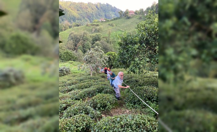 Rize'de teli kopan ilkel teleferikten çay bahçesine atlayan kadın yaralandı