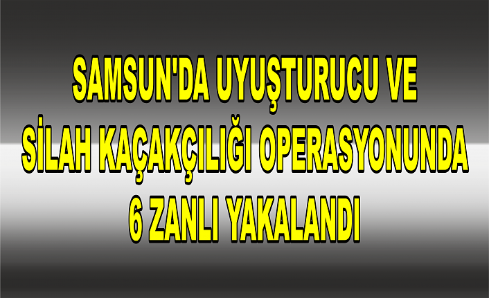 Samsun'da uyuşturucu ve silah kaçakçılığı operasyonunda 6 zanlı yakalandı