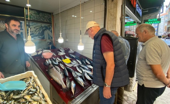 Sinop'ta 5,5 kilogramlık kötek balığı yakalandı