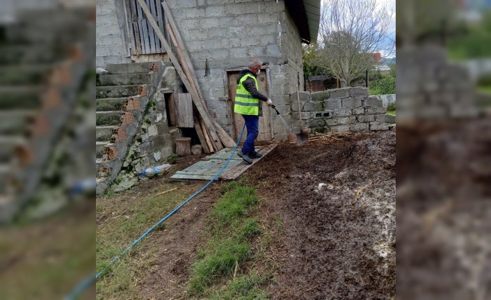 19 Mayıs ilçesinde kahverengi kokarca ile mücadele için ilaçlama yapıldı