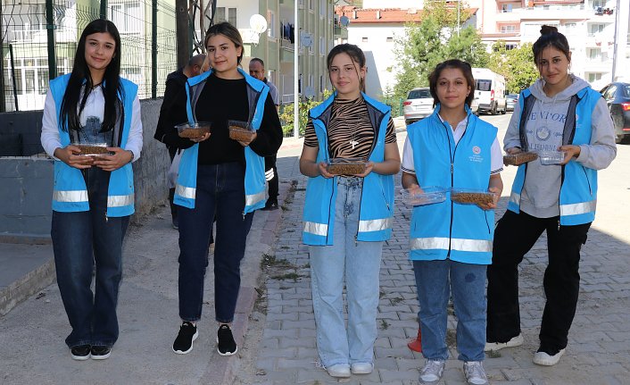 Amasya'da sokakları gezen öğrenciler kedi ve köpekler için mama ve su bıraktı