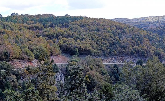 Amasya'da sonbahar güzelliği