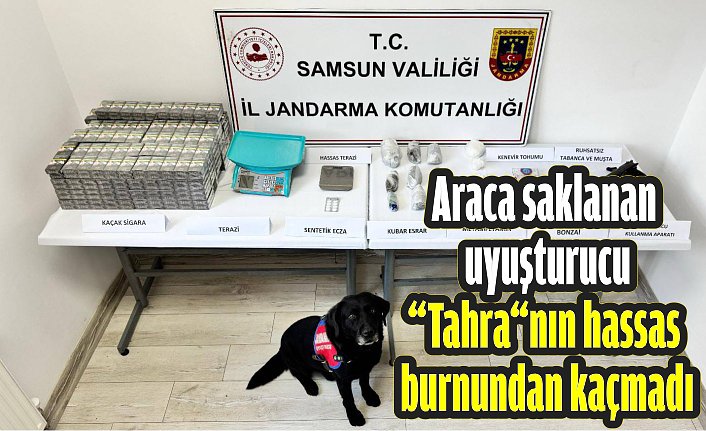 Araca saklanan uyuşturucu “Tahra“nın hassas burnundan kaçmadı