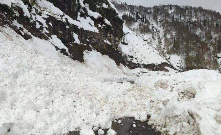 Artvin'de çığ nedeniyle 6 köy yolu ulaşıma kapandı