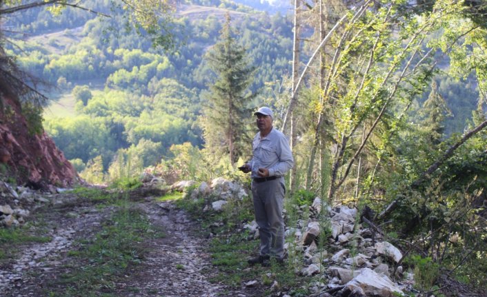 Artvin'de Kutlu köyü bağlığı ve civarındaki kazılar devam ediyor