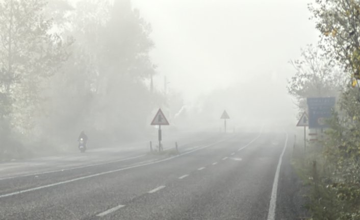 Bolu, Düzce ve Bartın'da sis görüş mesafesini düşürdü