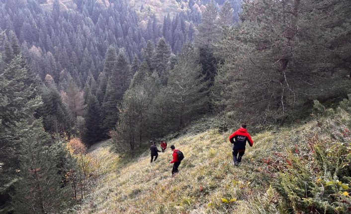 Bolu'da yaylada kaybolan yaşlı çift ölü bulundu