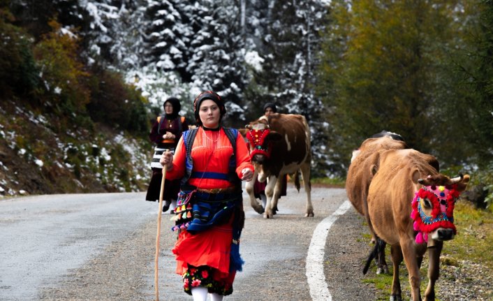 Doğu Karadeniz'de kar yağışı yaylalardan dönüşü hızlandırdı