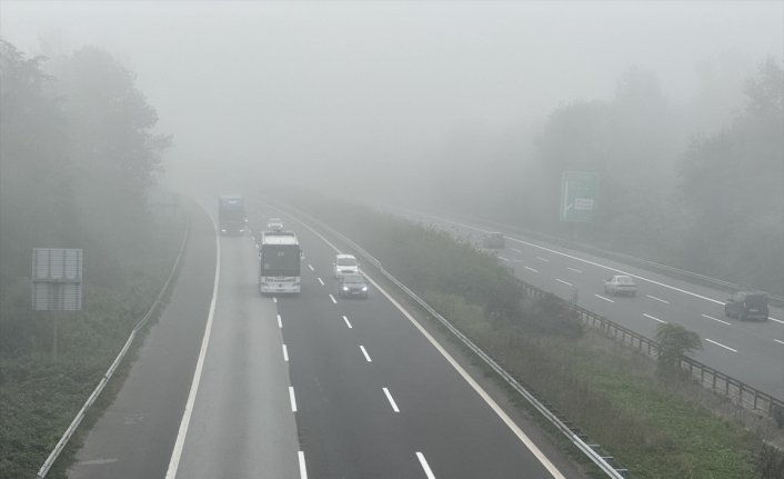 Düzce ve Karabük'te sis etkili oldu