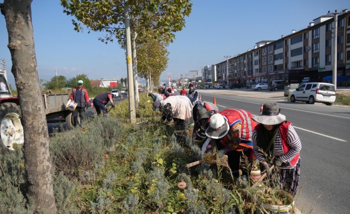 Düzce'de yeşil alanlarda bakım çalışmaları devam ediyor