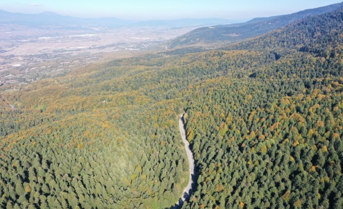 Gölcük Tabiat Parkı ve çevresi hazan mevsiminin renkleriyle süslendi