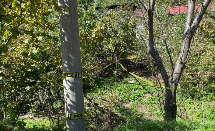 Zonguldak'ta domuz sanılarak vurulan kadın öldü