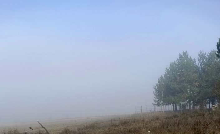 Karabük'te sis etkili oldu