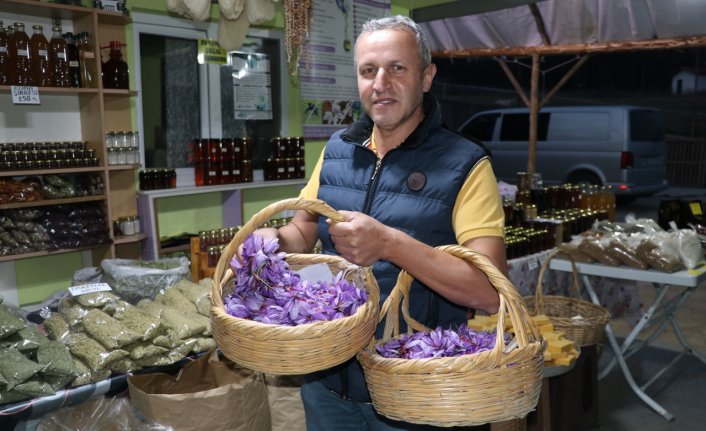 Karabük'te mora bürünen safran tarlaları ziyaretçilerini ağırlıyor